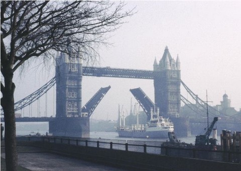 photo courtesy of Fred Horky